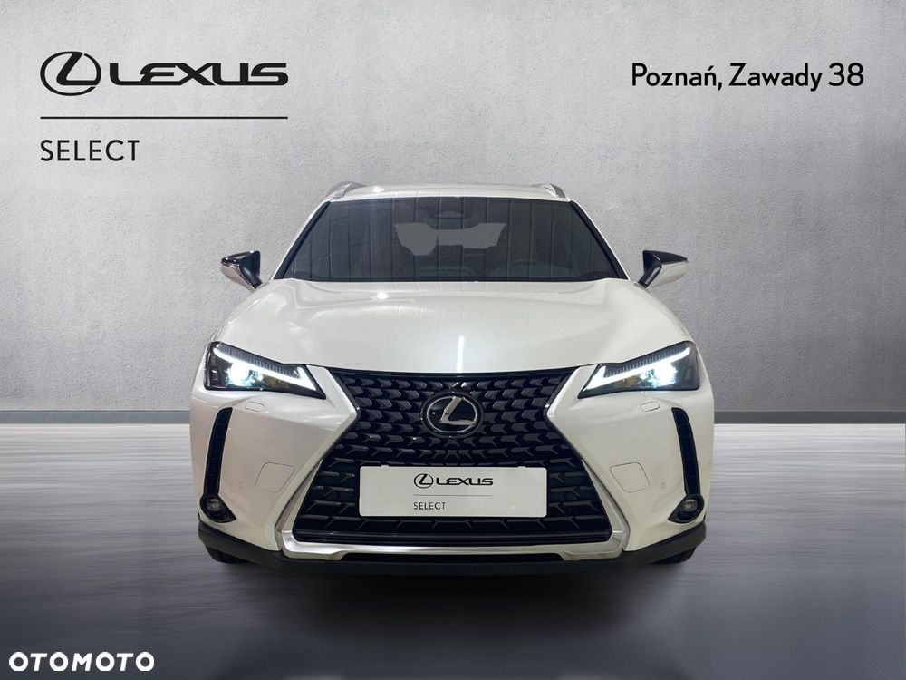 Lexus UX 300h Business - 6