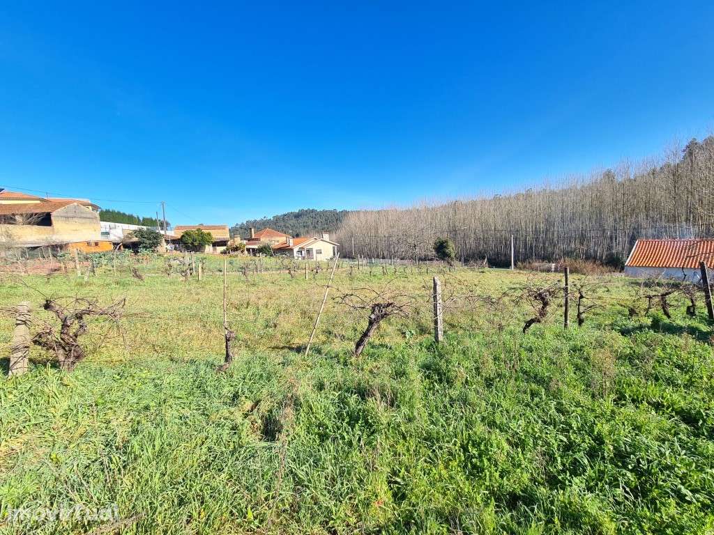 Terreno para construção na Piedade - Espinhel (Águeda) - Grande imagem: 2/7