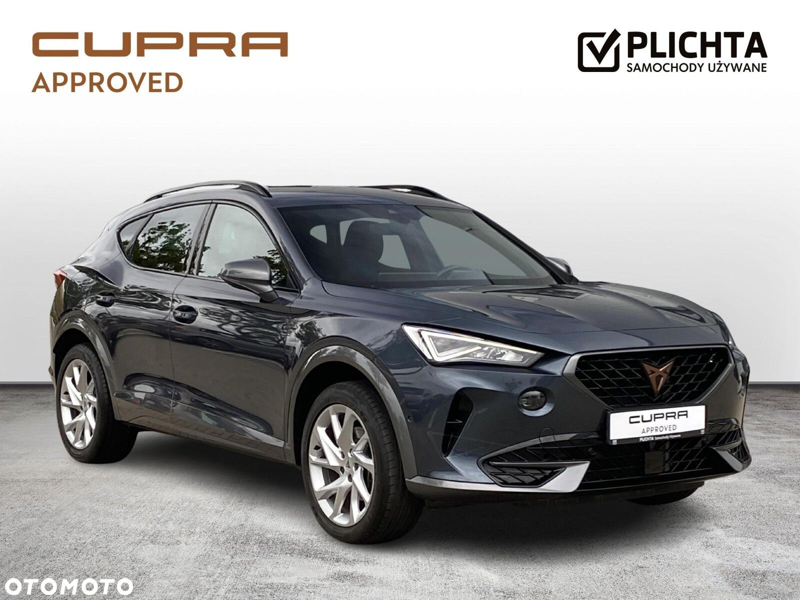 Cupra Formentor 1.5 TSI DSG - 8