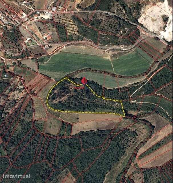 Terreno Rústico com 3,59 Hectares em Santarém – Natureza,... - Grande imagem: 4/11