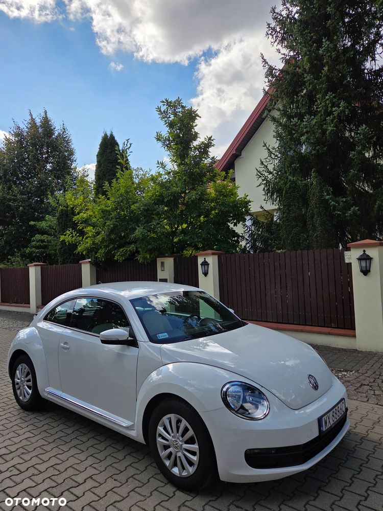 Volkswagen Beetle - 3