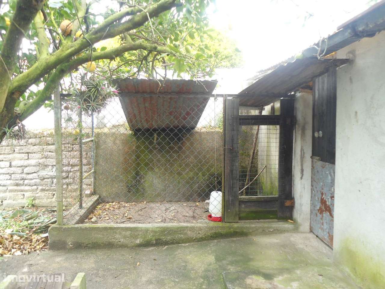 Casa T1+2, antiga, com lagar, churrasco, com poço e quintal - Grande imagem: 4/12
