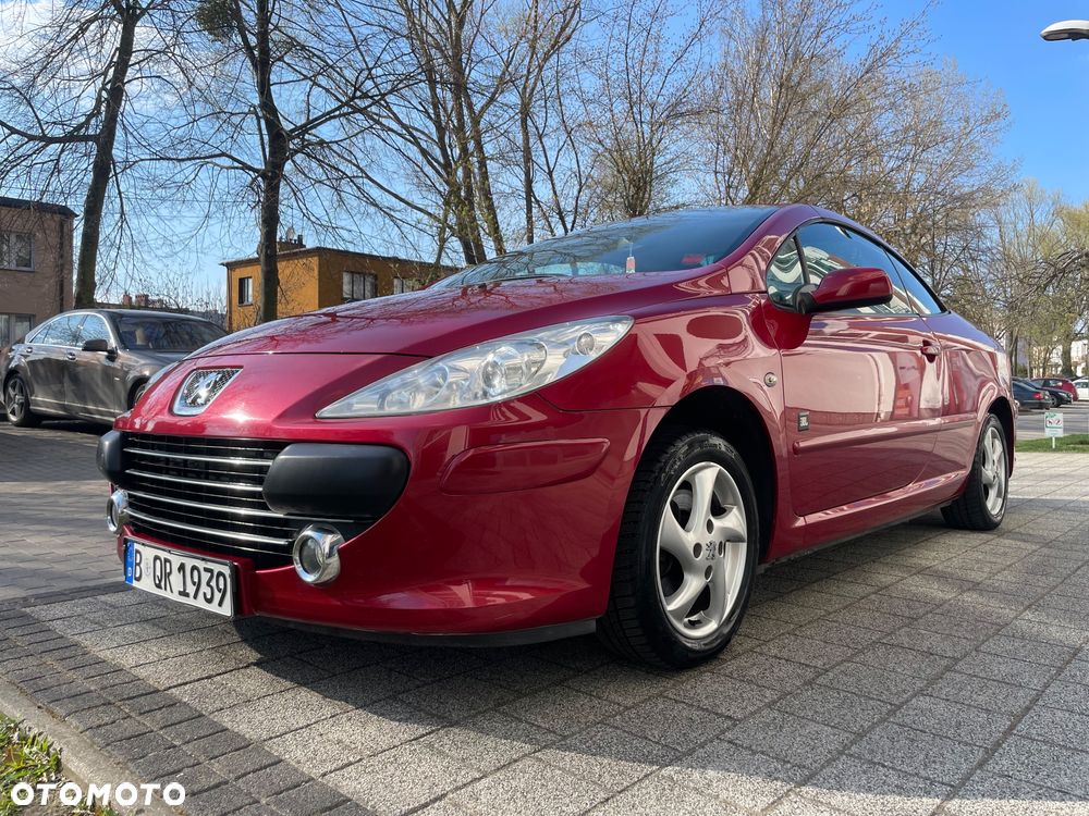 Peugeot 307 2.0 Sporty - 10