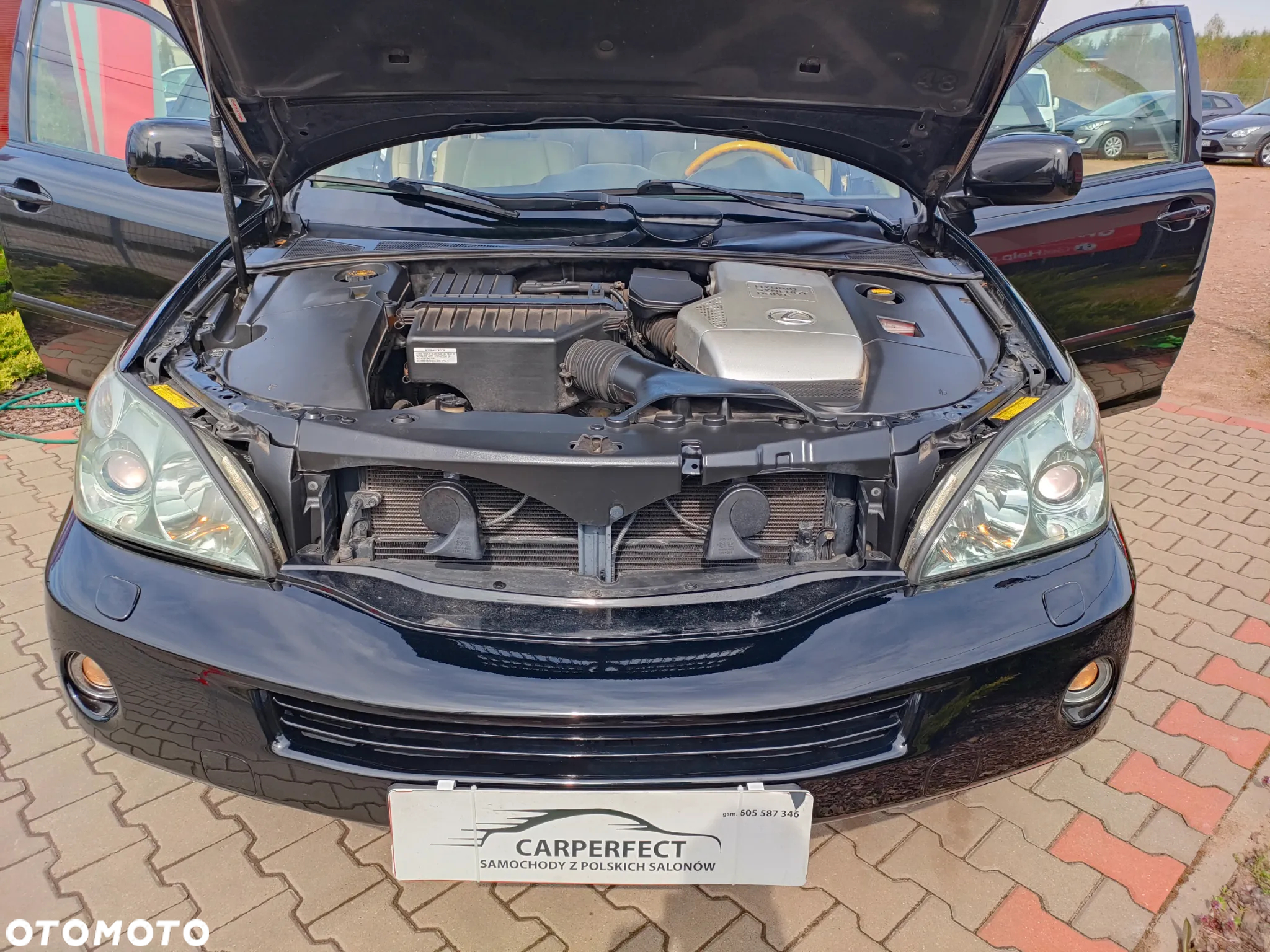Lexus RX - 24