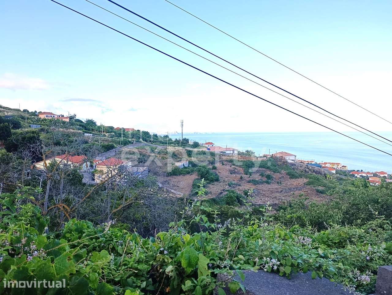 Terreno com vistas em Gaula com 7.670m2 - Grande imagem: 3/8