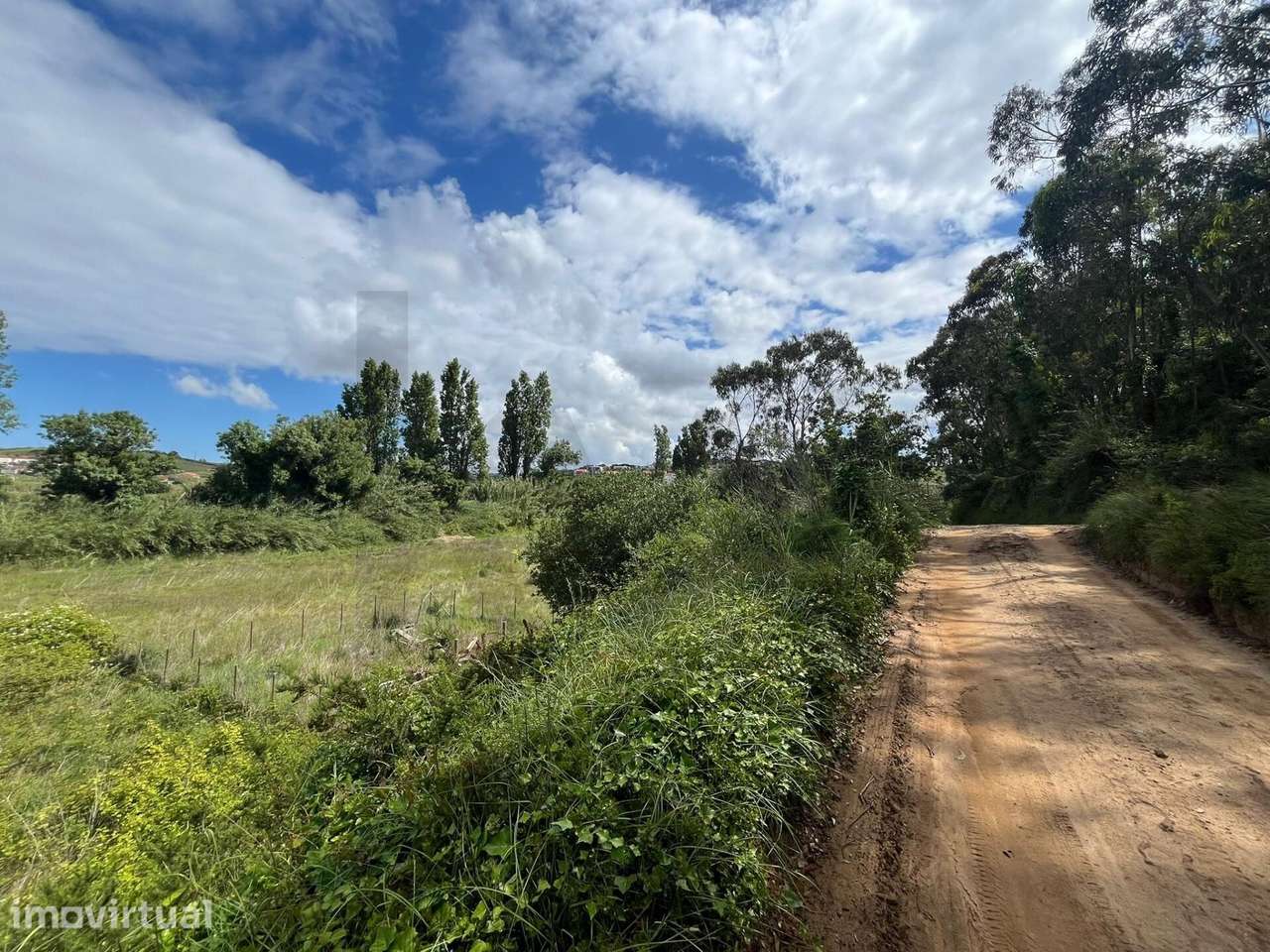 Terreno Rustico, Santo Isidoro, 3.937m2 - Grande imagem: 5/15