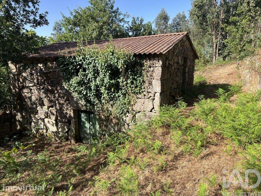 Quinta rural em Serrazes de 223 m2 - Grande imagem: 3/15
