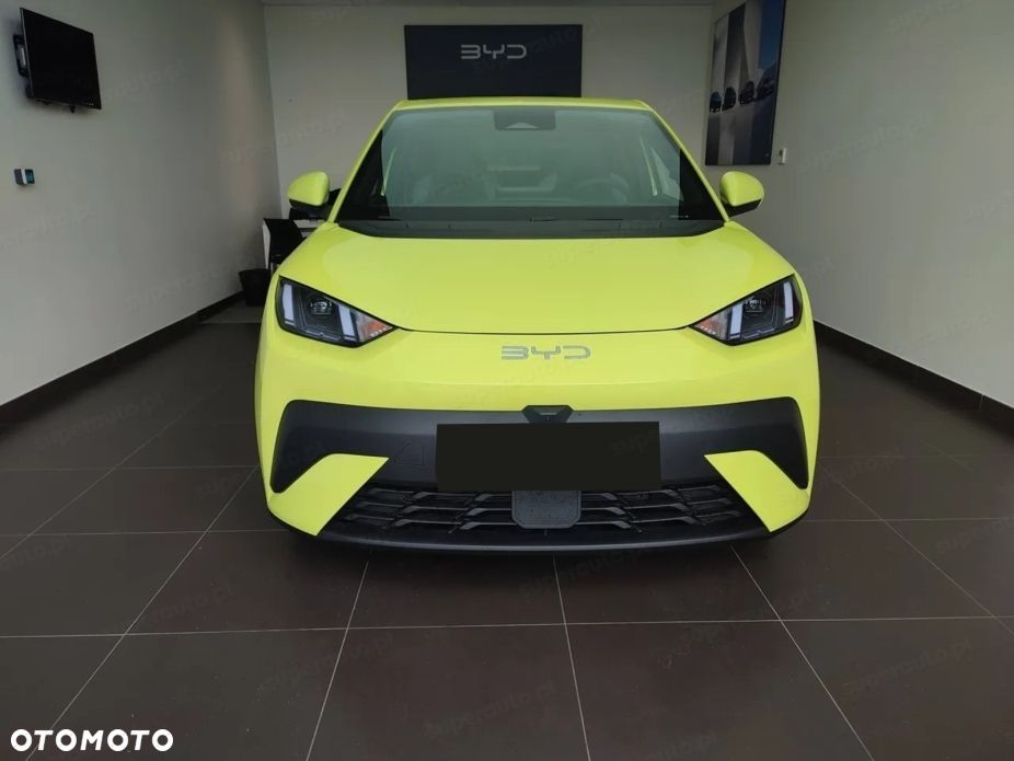 BYD Dolphin Surf - 4