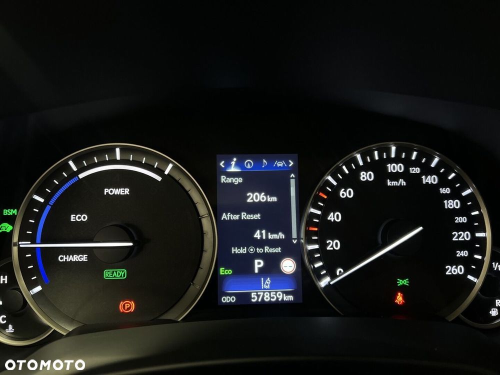 Lexus RX 450h F-Impression - 23