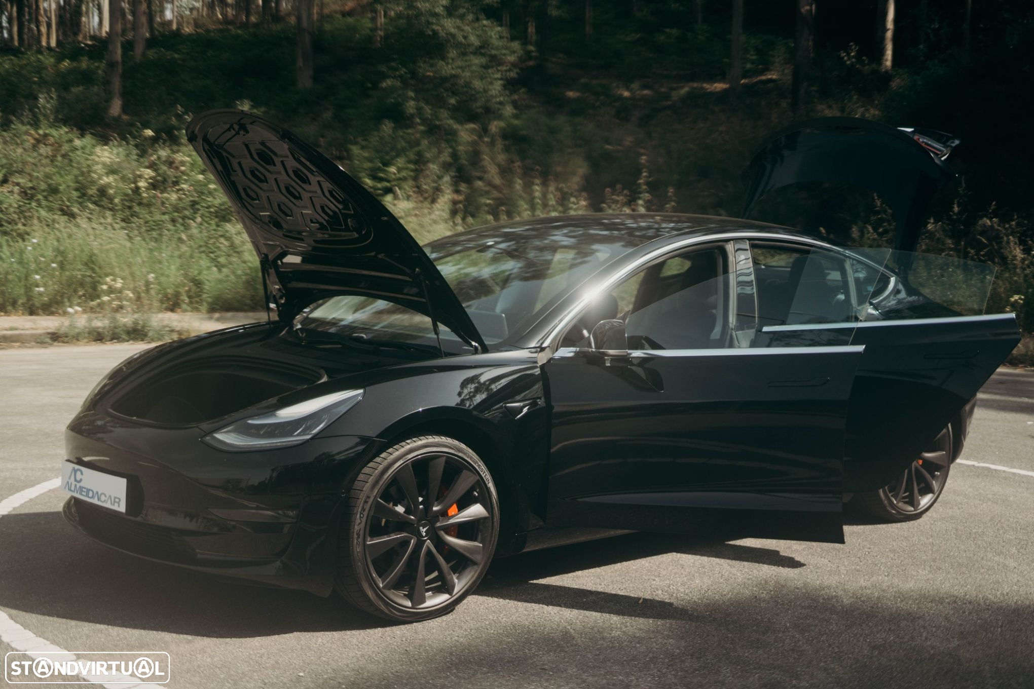 Tesla Model 3 Performance Dual Motor AWD - 25
