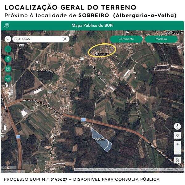 Terreno Rústico 3 hectares | Albergaria-a-Velha - Grande imagem: 3/12