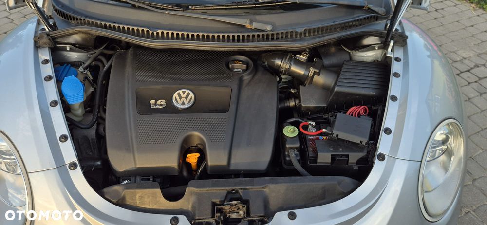 Volkswagen New Beetle - 25