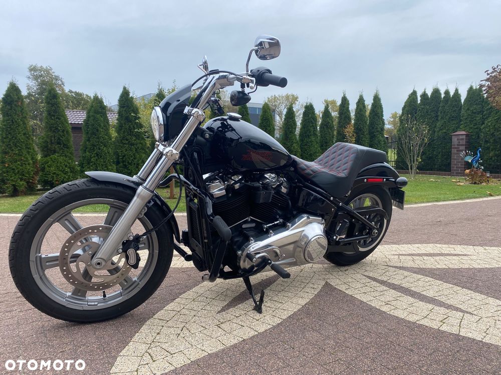 Harley-Davidson Softail Standard - 1