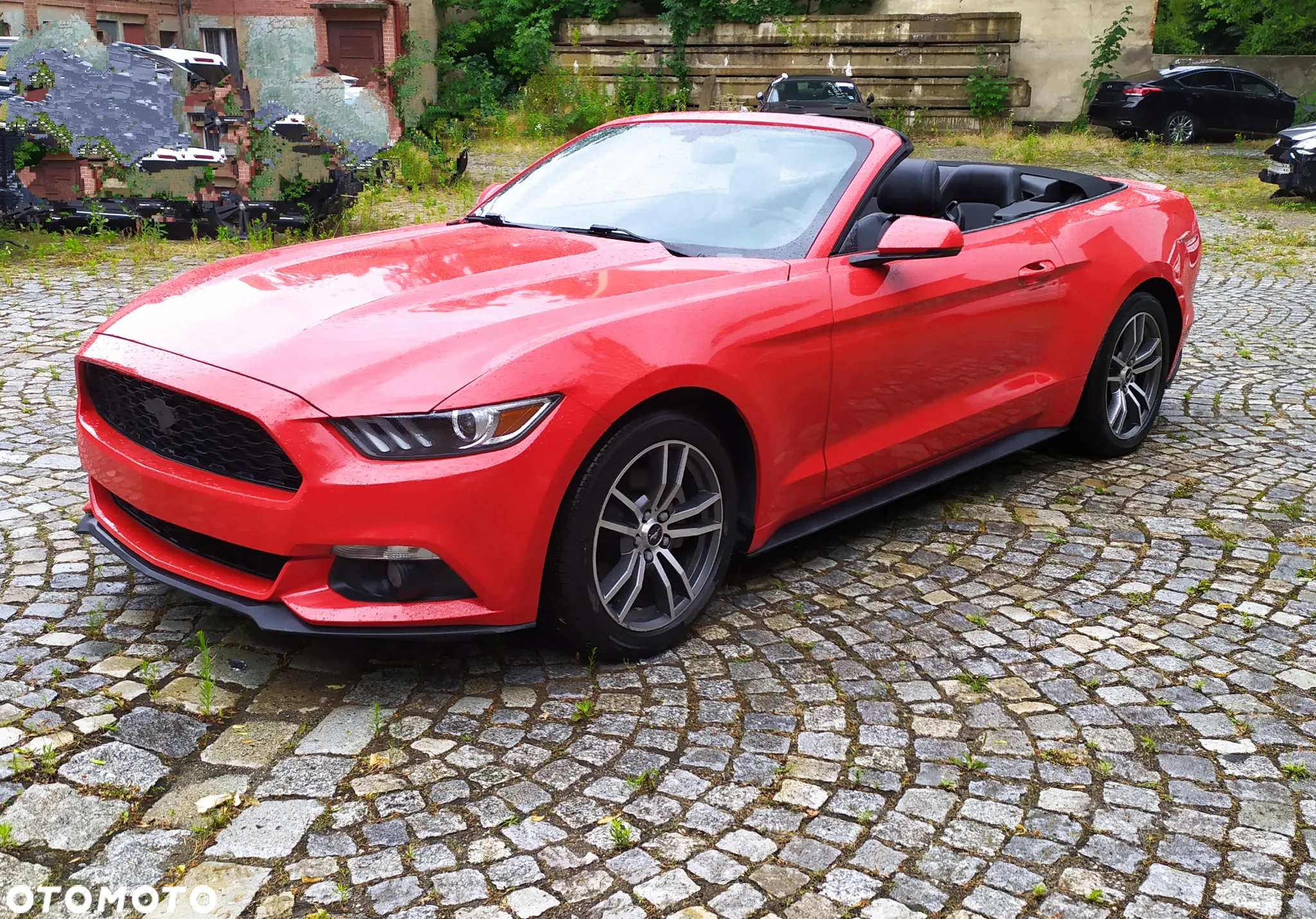 Ford Mustang 2.3 EcoBoost - 4
