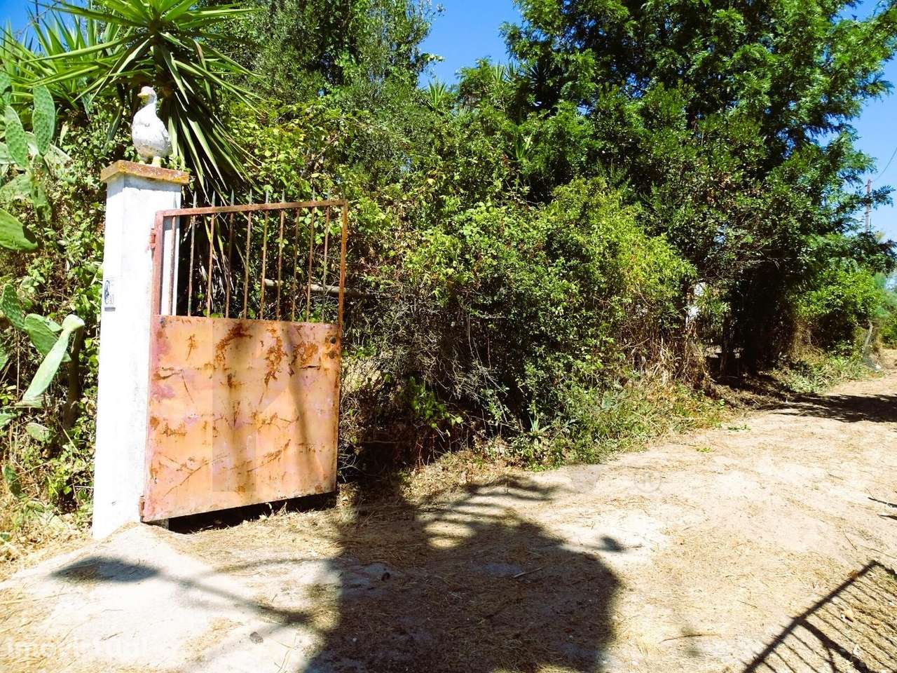 Quinta T2 com 4.05 hectares - Grande imagem: 3/45