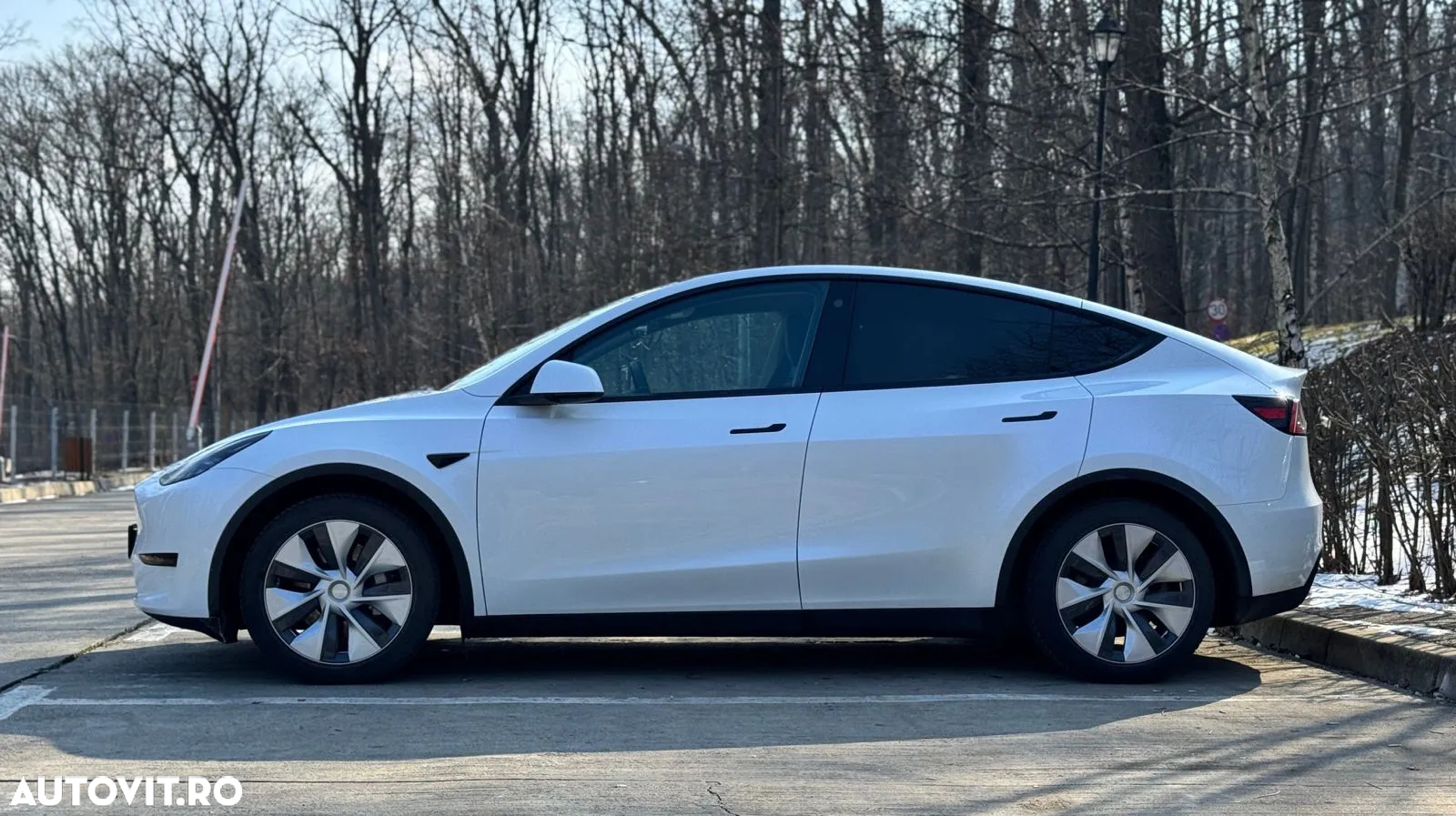 Tesla Model Y - 8