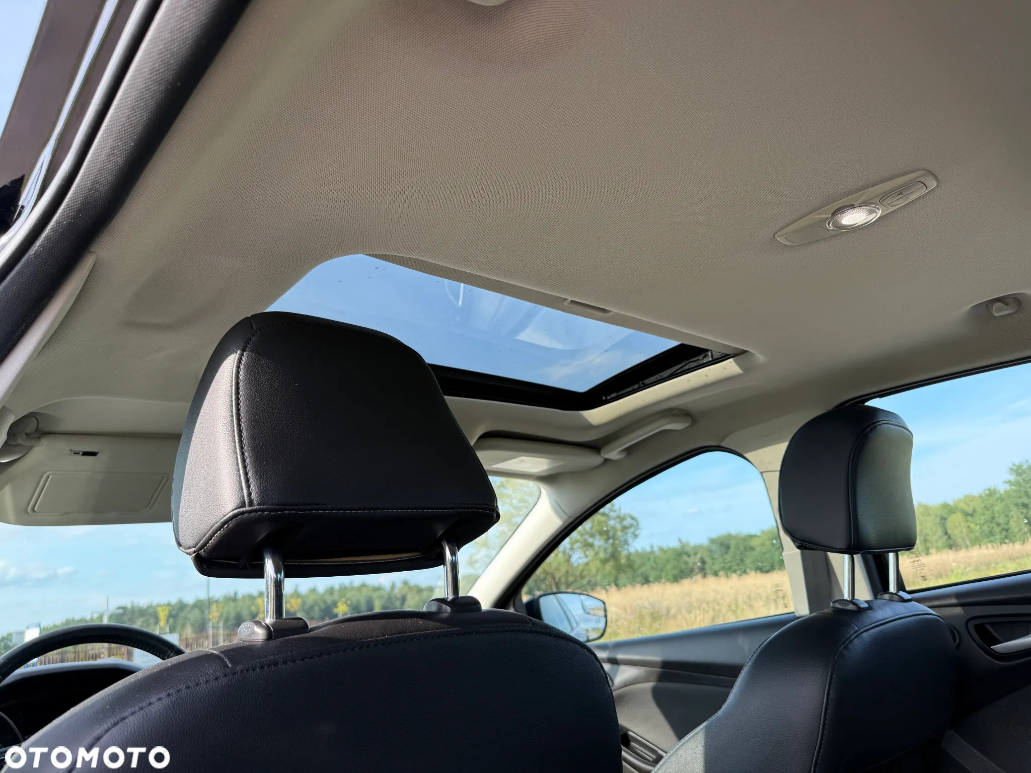 Ford Focus - 14