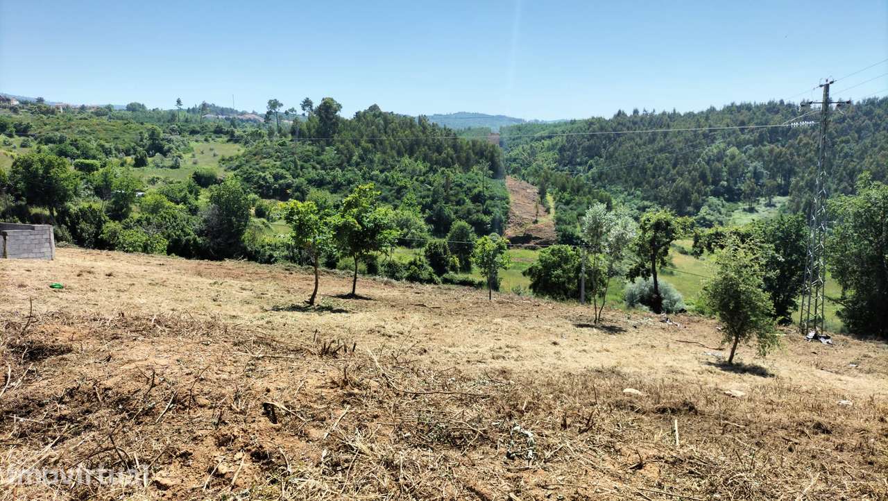 **Terreno 1475m2 p/ Construção em Torrozelo e Folhadosa** - Grande imagem: 2/10