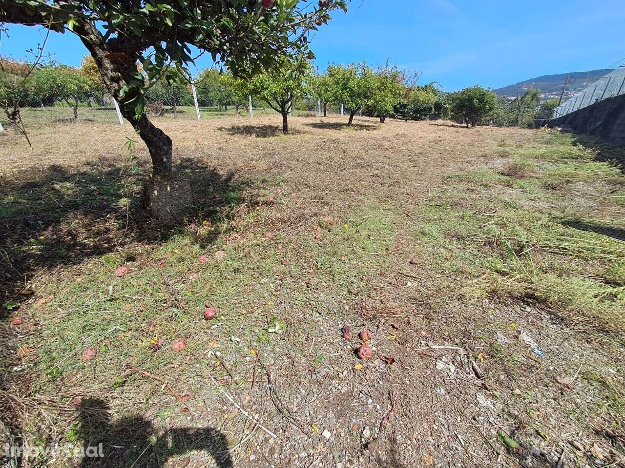 Armazém em São João da Madeira - Grande imagem: 5/6