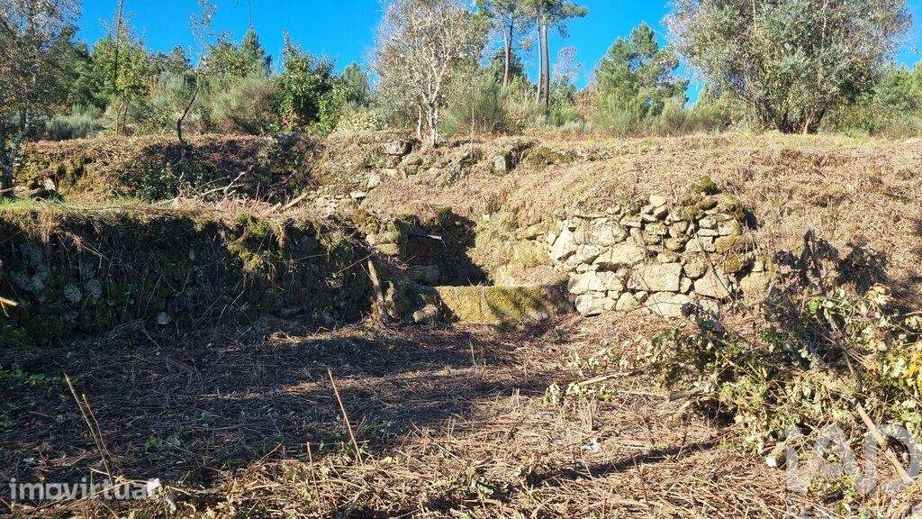 Terreno Agrícola em Juncais, Vila Ruiva e Vila Soeiro do Chão - Grande imagem: 5/27
