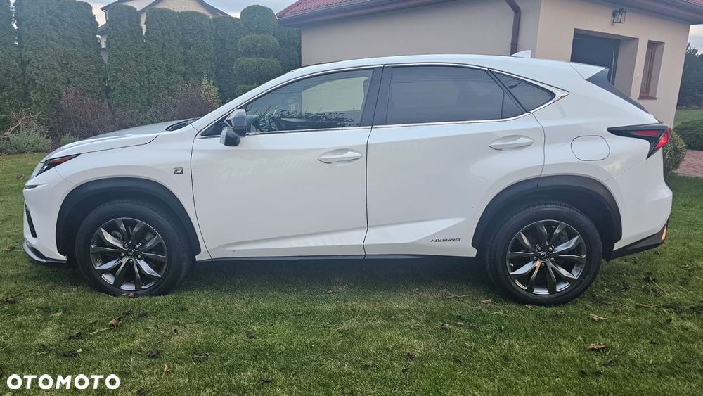 Lexus NX 300h F Sport Edition AWD - 15