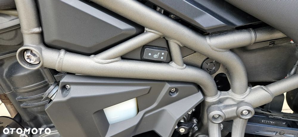 Triumph Tiger - 21