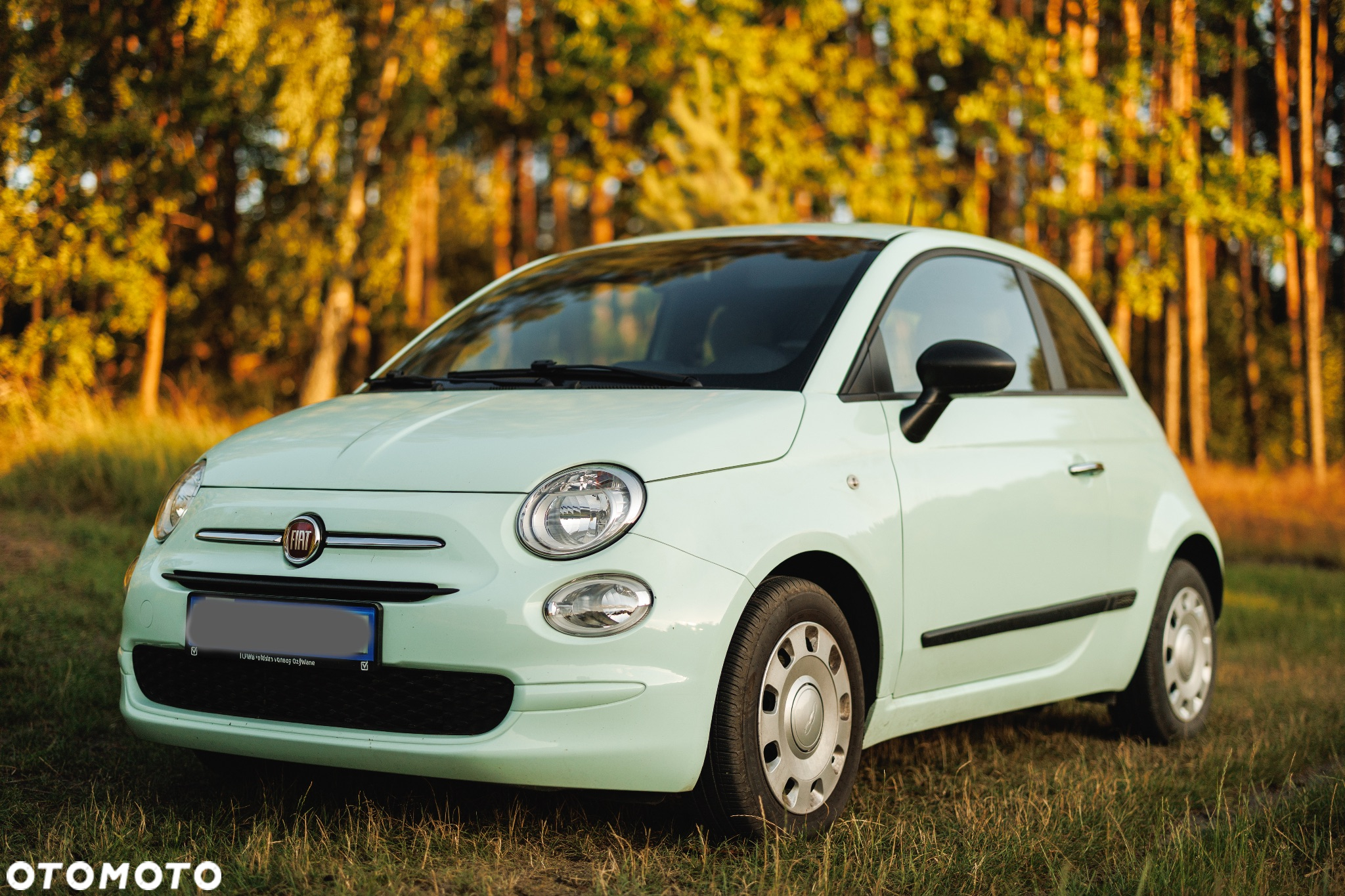 Fiat 500 1.0 Hybrid Pop - 3