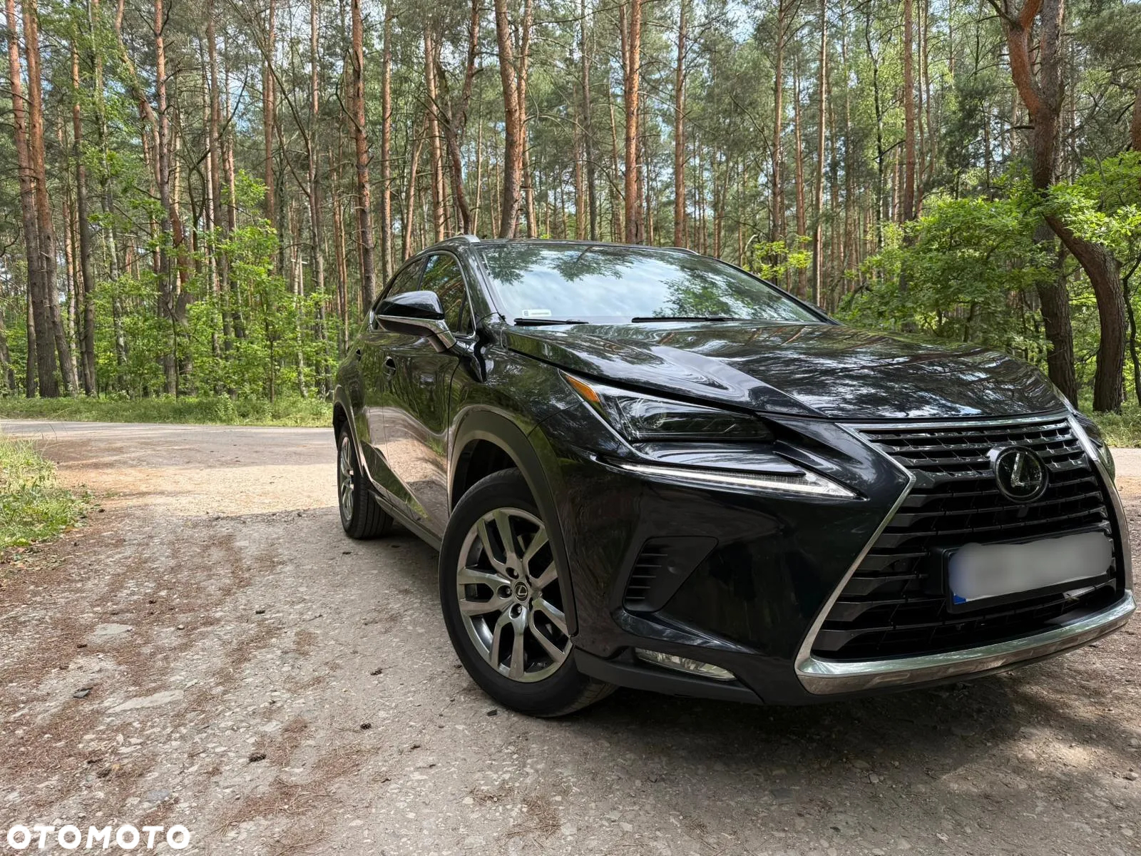 Lexus NX 300 Comfort AWD - 2