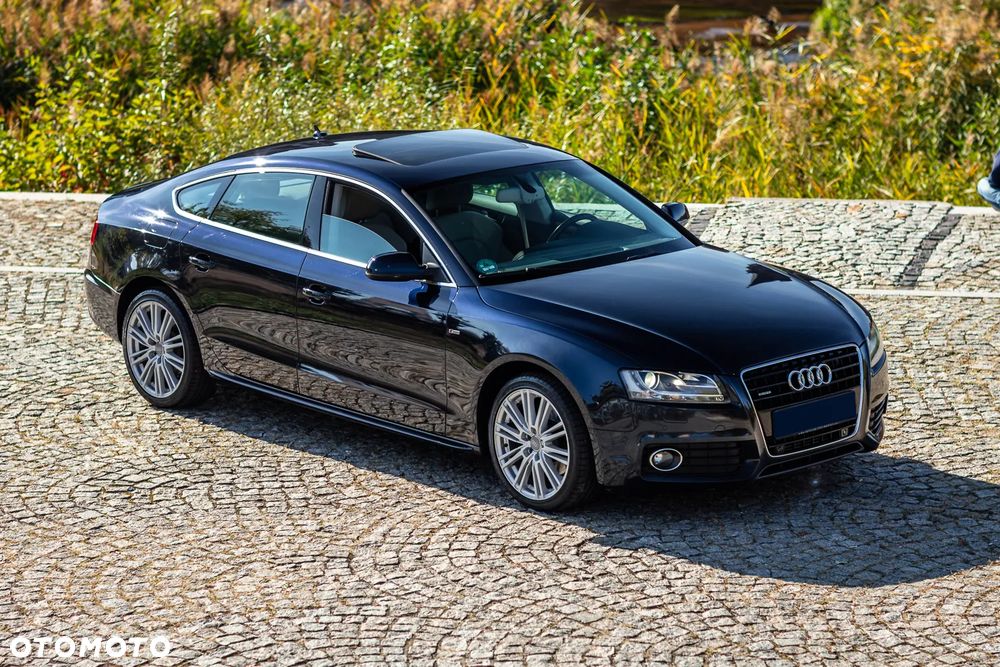 Audi A5 Sportback 3.0 TDI quattro DPF S tronic - 14