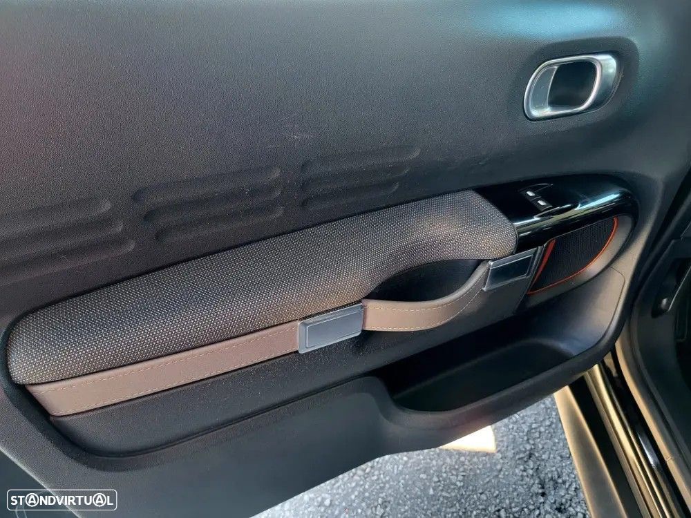 Citroën C4 Cactus 1.6 BlueHDi Rip Curl - 20