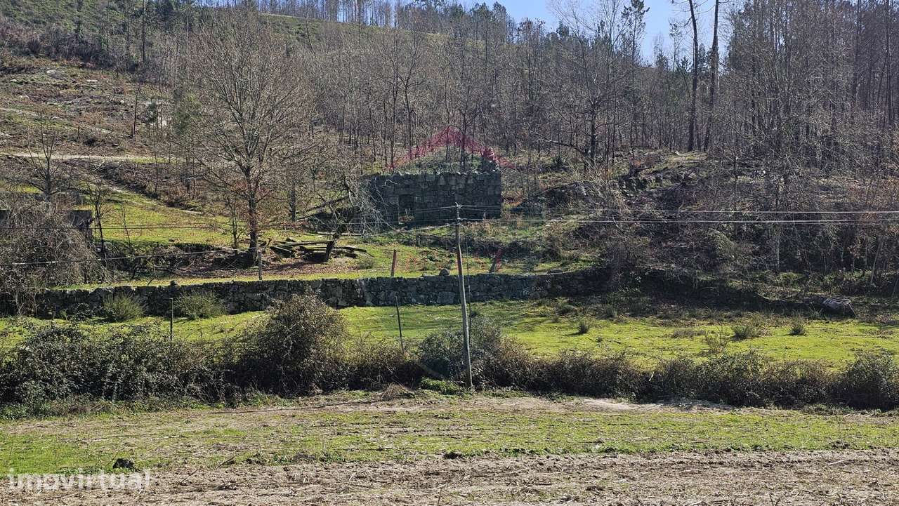 Quinta  Venda em Mamouros, Alva e Ribolhos,Castro Daire - Grande imagem: 3/12