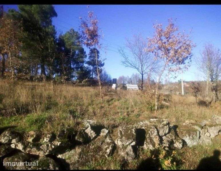 Terreno para construção, vista panorâmica, turismo.  Alhais Viseu - Grande imagem: 4/4