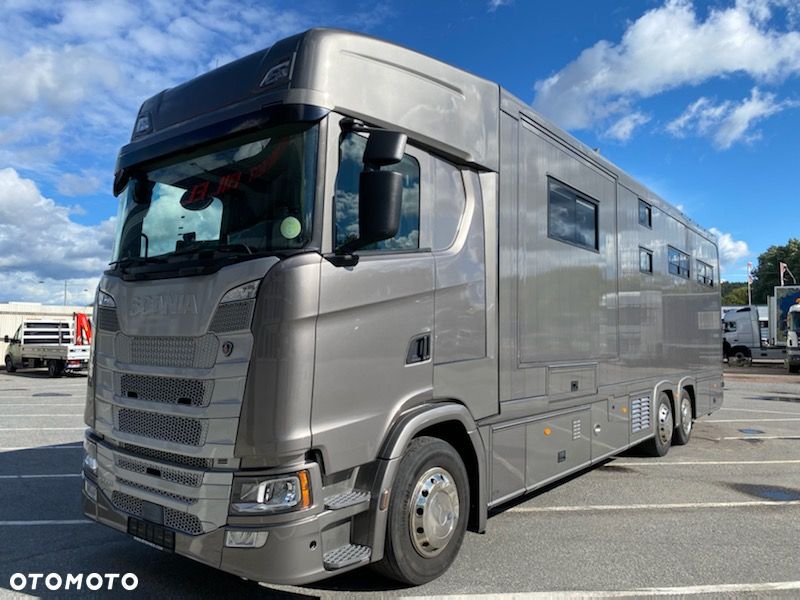 Scania S500 STX Koniowóz, 2xPOP OUT i POP UP. - 5