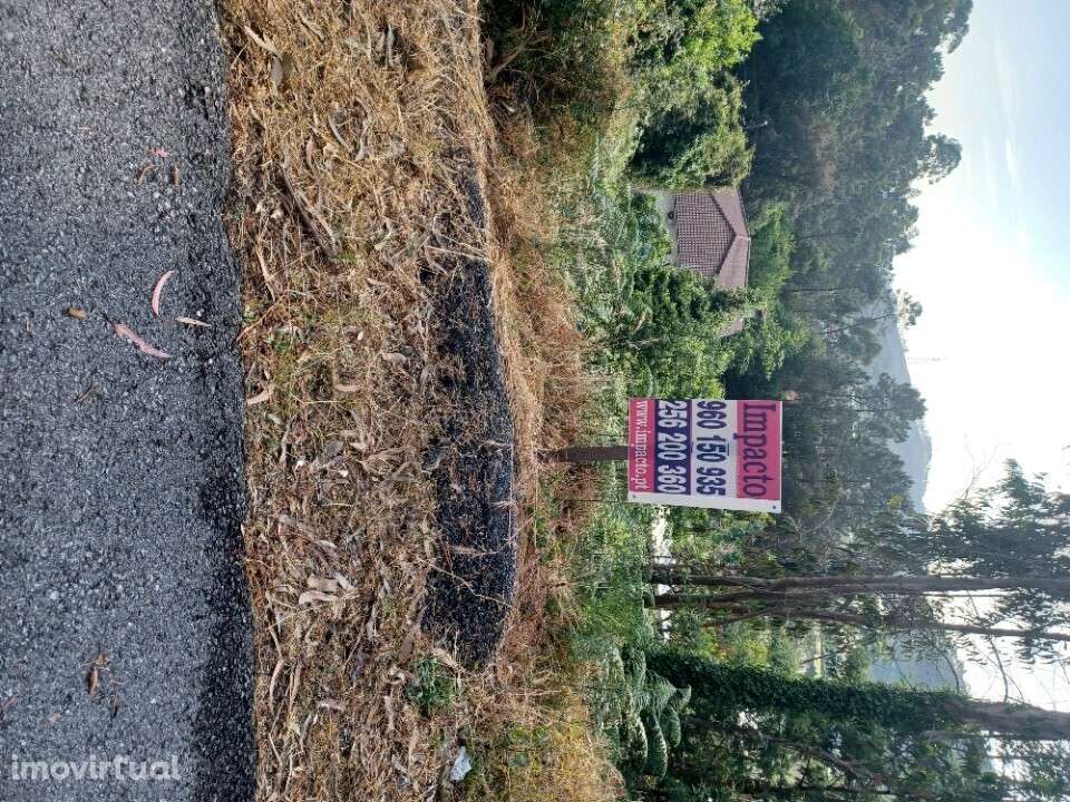 Lote de Terreno - Grande imagem: 2/2
