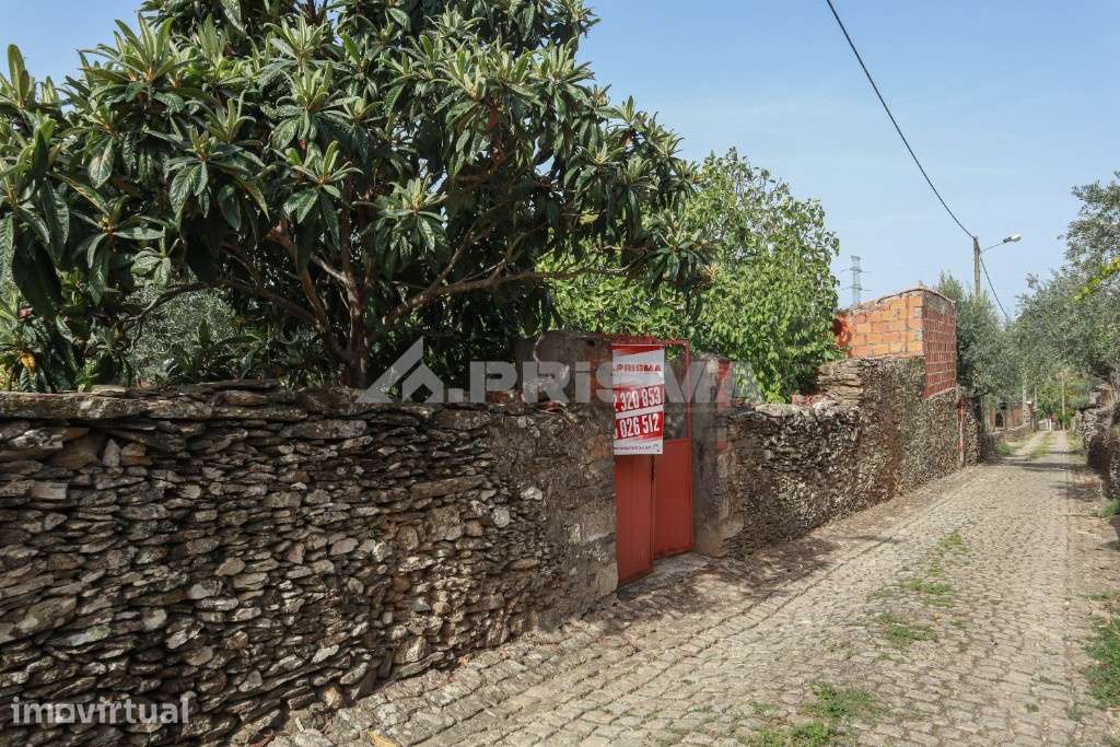 Terreno Rústico para venda em Amarelos, Sarnadas de Ródão - Grande imagem: 5/16