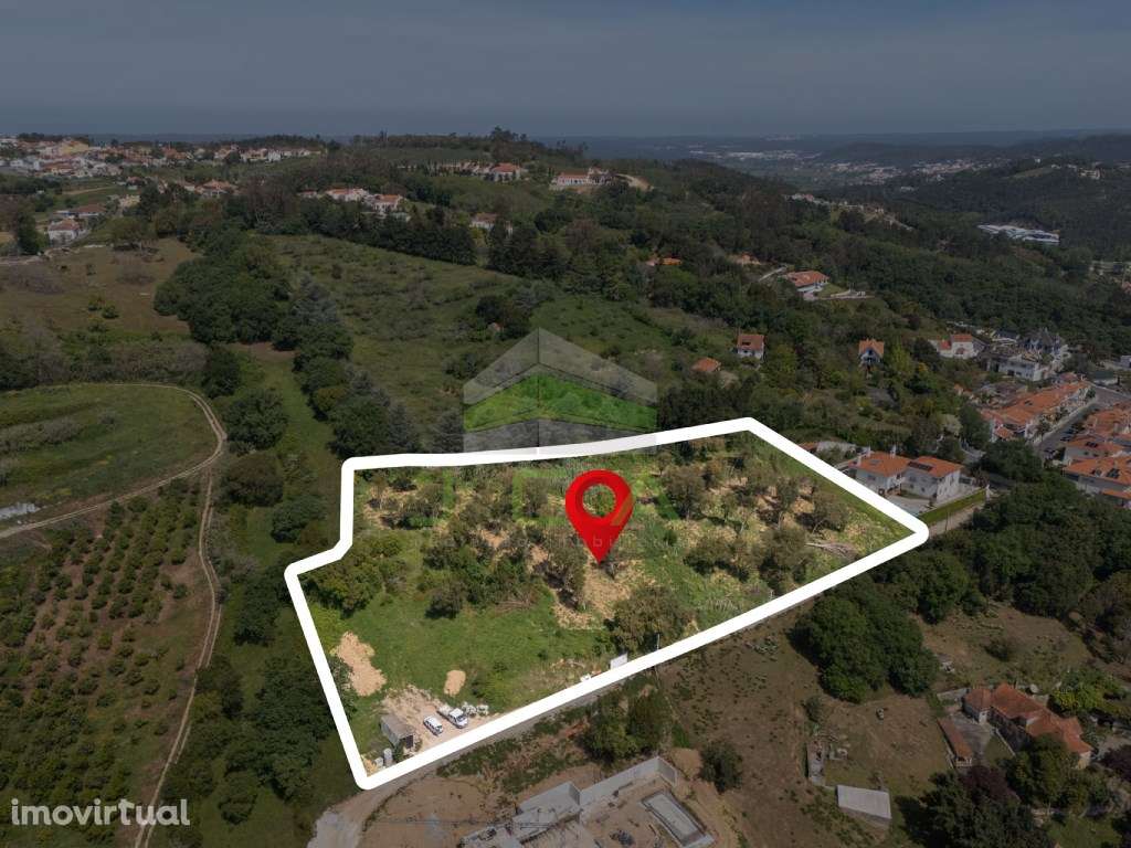Terreno com 11.000m2 e excelentes vistas sobre Alcobaça - Grande imagem: 2/34