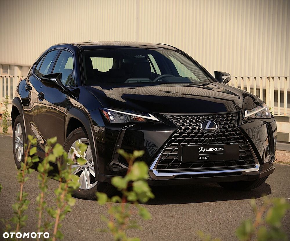 Lexus UX 300h Elegance - 20