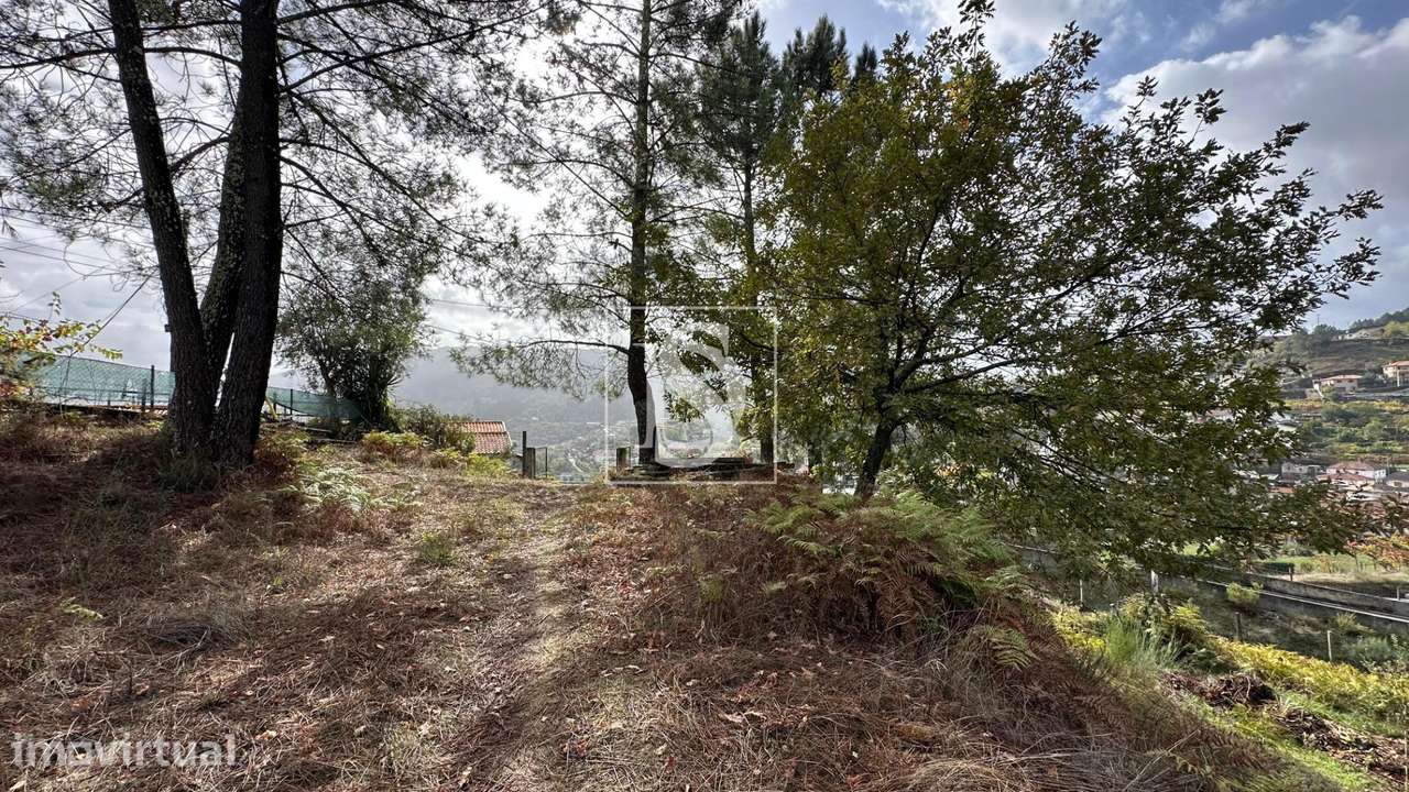 Terreno  Venda em Padronelo,Amarante - Grande imagem: 4/15
