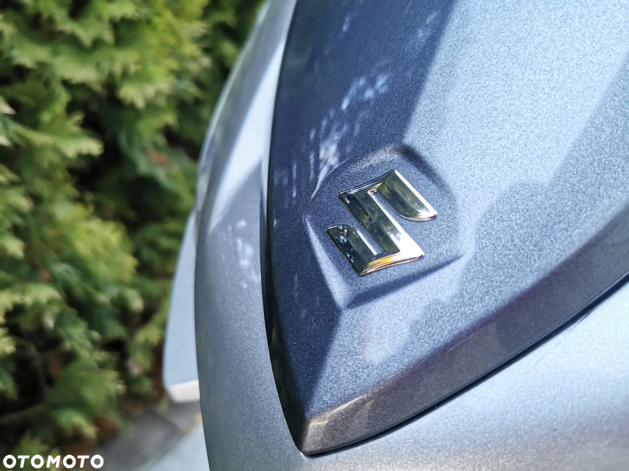 Suzuki Address - 10