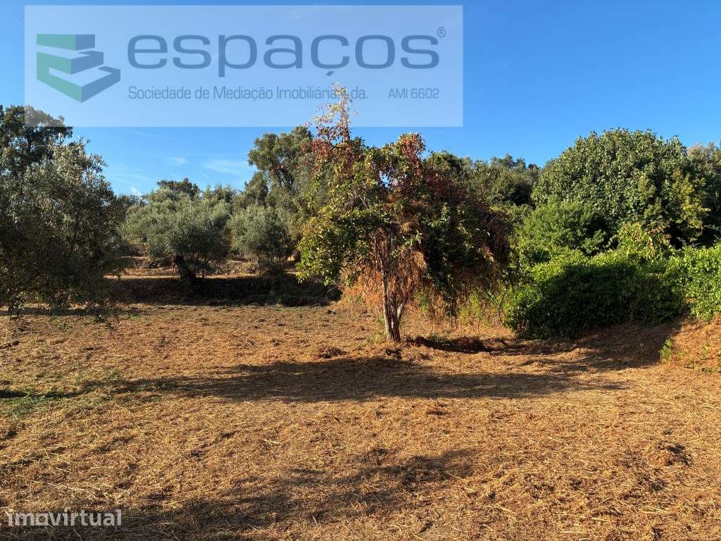 Terreno em Lavacolhos - Grande imagem: 4/14