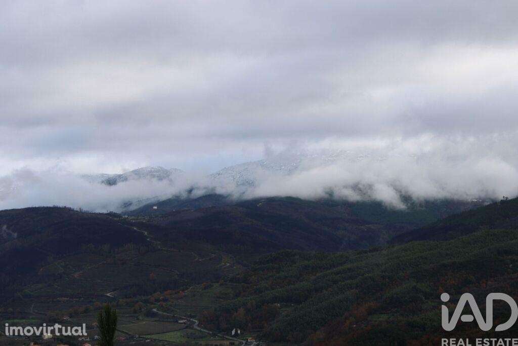 Terreno Agrícola em Sandomil - Grande imagem: 2/7