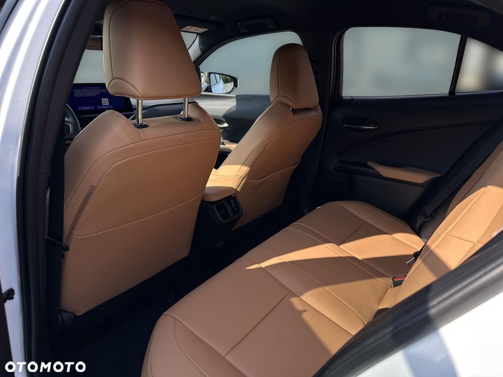 Lexus UX 250h GPF F Sport Design 2WD - 12