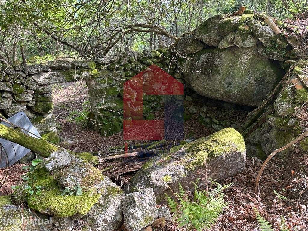 Terreno, Valdreu - Grande imagem: 2/31