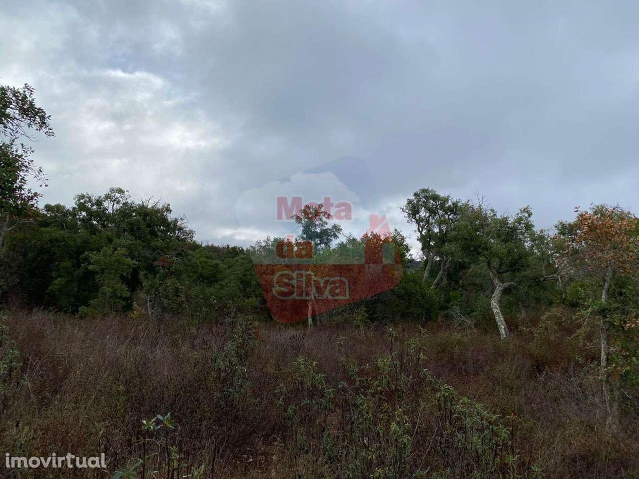 Terreno de 13.5ha em Santa Margarida da Serra - Grande imagem: 3/15
