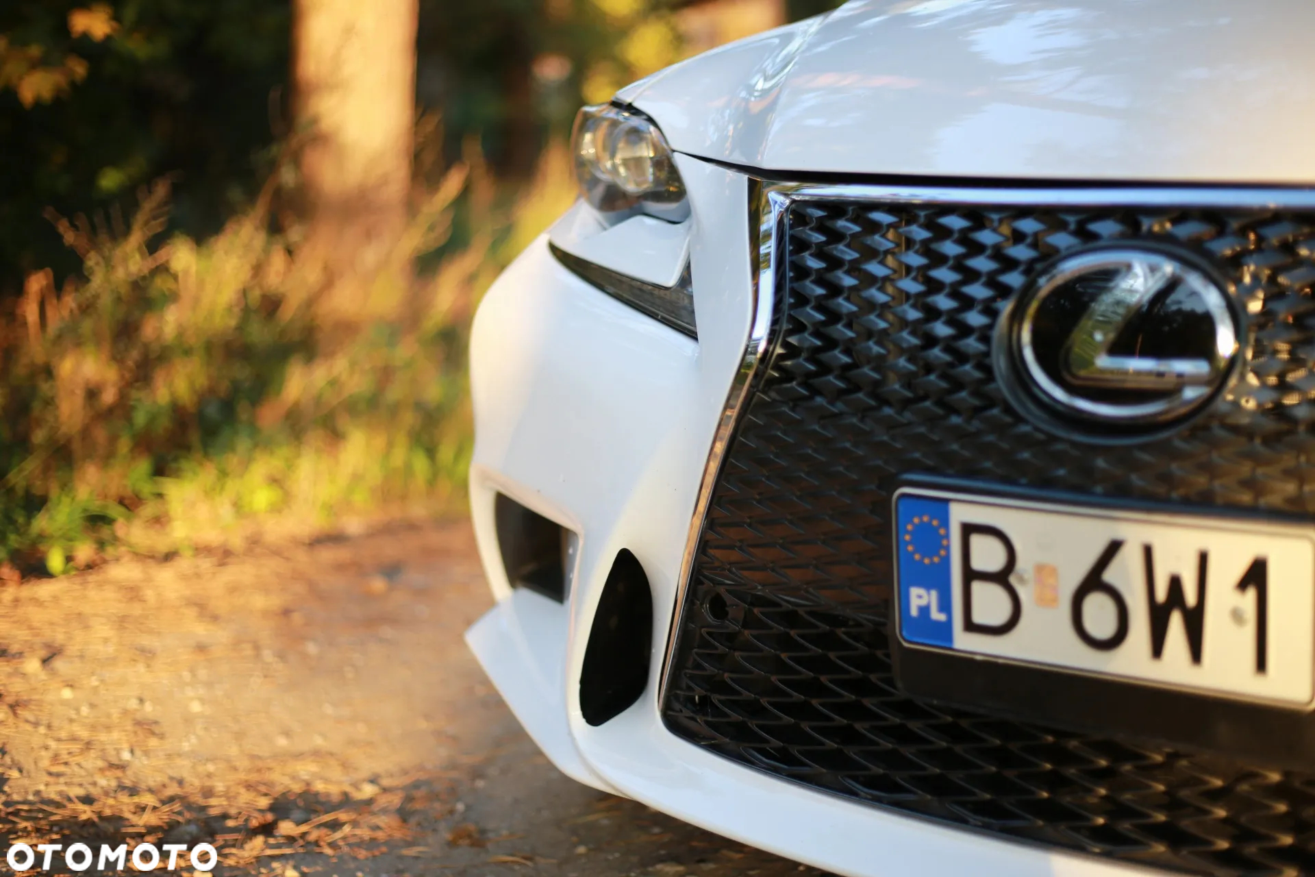 Lexus Inny - 13
