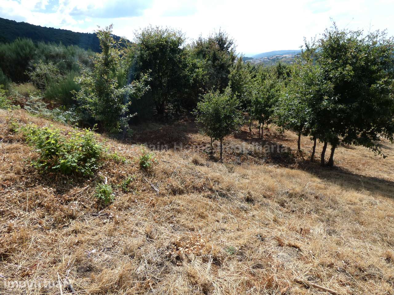 Lote de Terreno  Venda em Seia, São Romão e Lapa dos Dinheiros,Seia - Grande imagem: 3/12