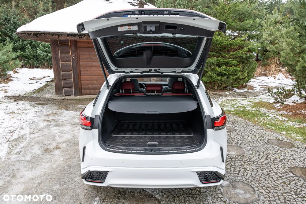 Lexus RX 500h F Sport Edition - 20