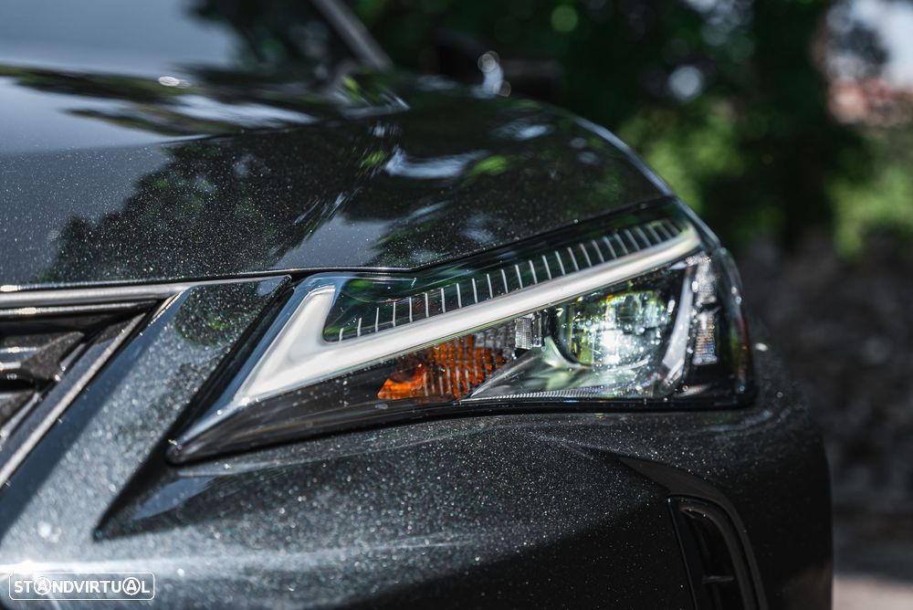 Lexus UX 250h Executive+ - 12
