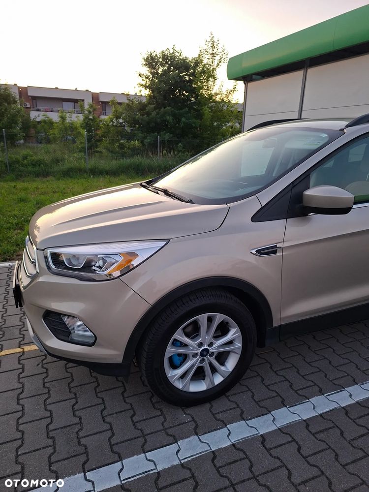 Ford Escape - 7