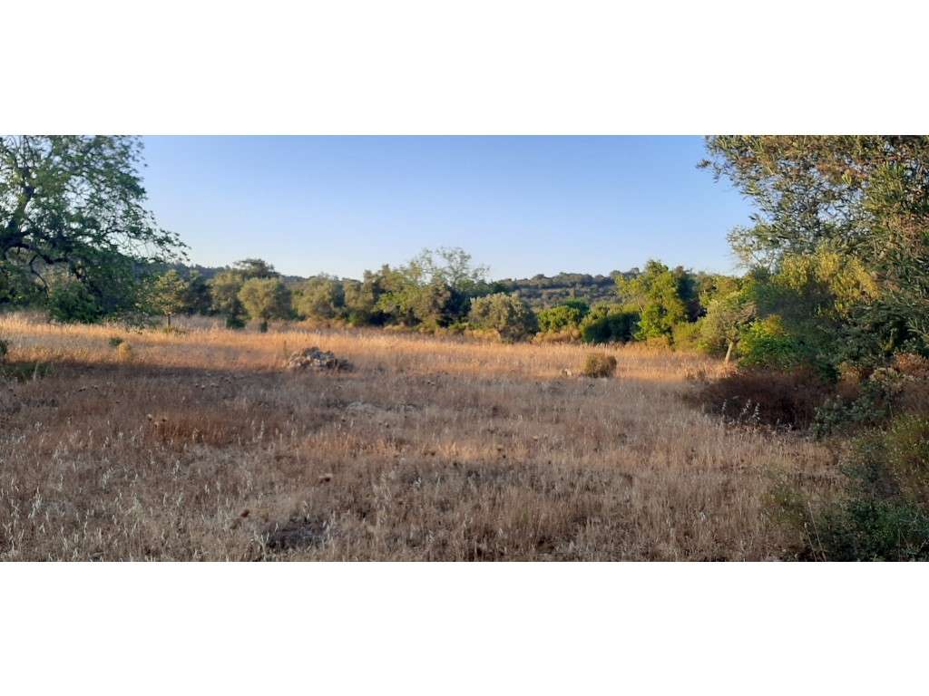 Terreno com projeto aprovado para Auto caravanismo em Cerro do Alpo... - Grande imagem: 2/23